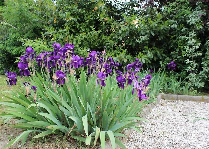 Verdemilia Anzola dell'Emilia