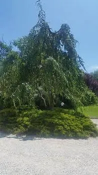 Verdemilia Szálloda Anzola dell'Emilia