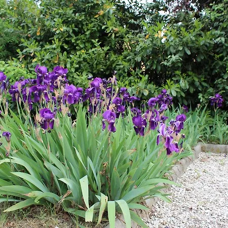 Verdemilia Anzola dell'Emilia